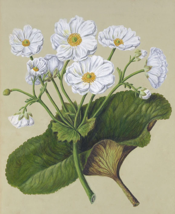 a painting of flowers in a white background