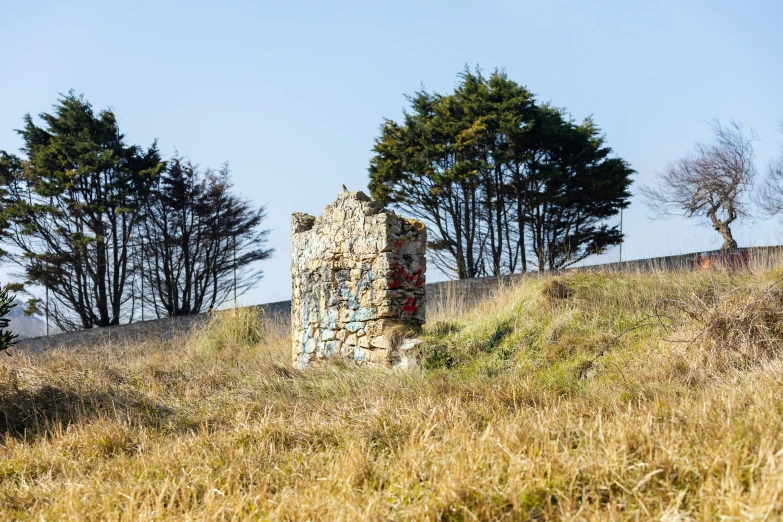 this is a very tall stone object in the grass