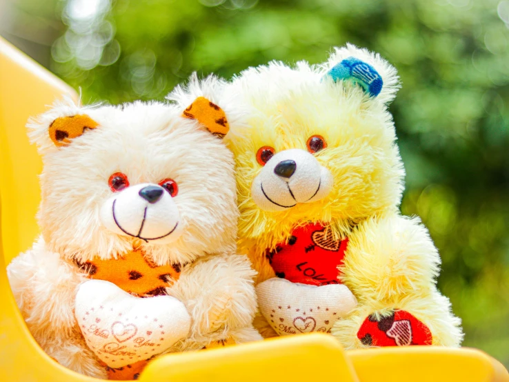 two stuffed bears on yellow sled with green background