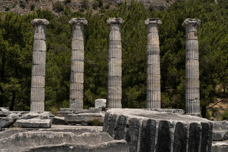 three large columns sit side by side against the green background