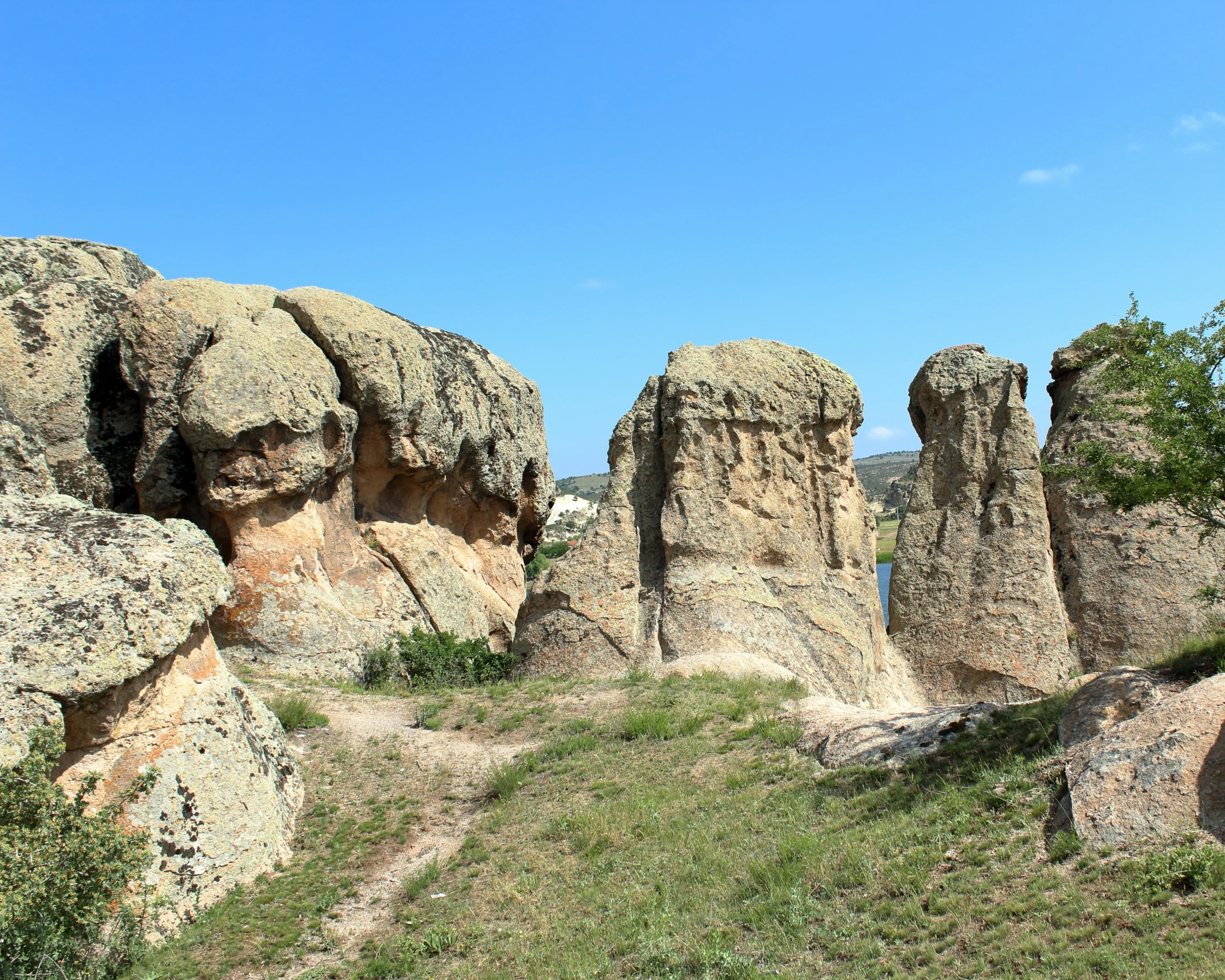 the grass is next to rocks with faces on them