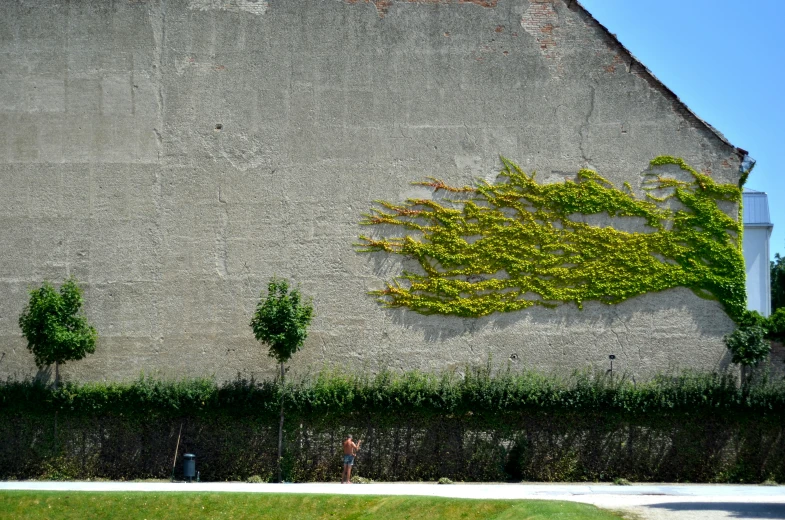 a building with a tree growing up the side