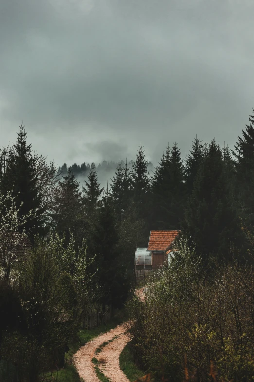 a small house in the middle of a forest