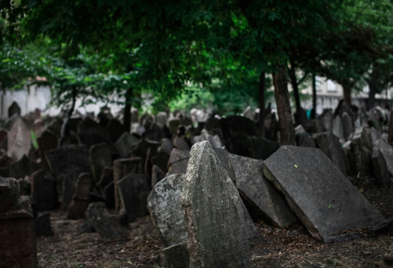 large piles of rocks under a tree in a cemetery