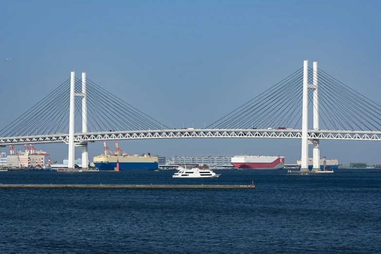 a bridge spans over a harbor with ships