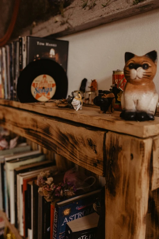 a shelf with a bunch of books and a cat