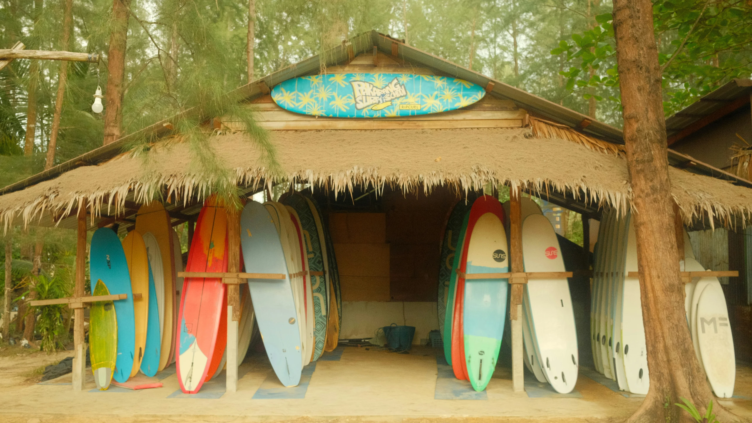 surfboards are lined up in the shade under trees