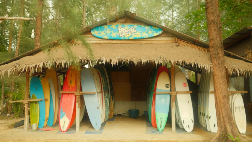 surfboards are lined up in the shade under trees