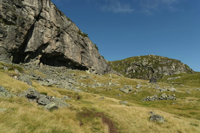 there is a lone cow sitting at the bottom of a hill