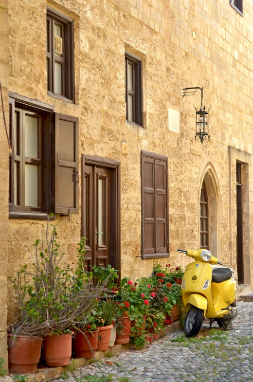 a moped parked next to some windows near plants