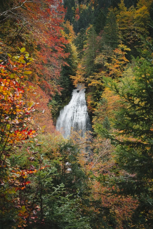 a waterfall in the middle of the woods