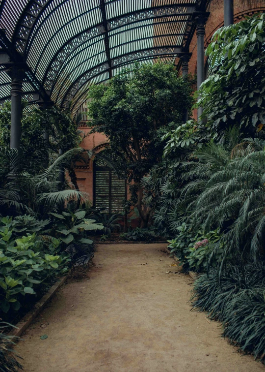 a room filled with lots of plants and large columns