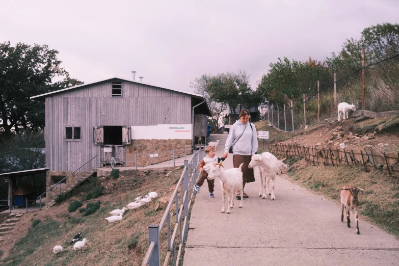 people walking with goats on a path in front of houses