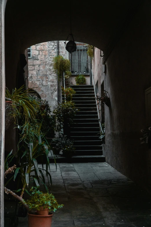 a hallway is shown with a staircase and potted plants