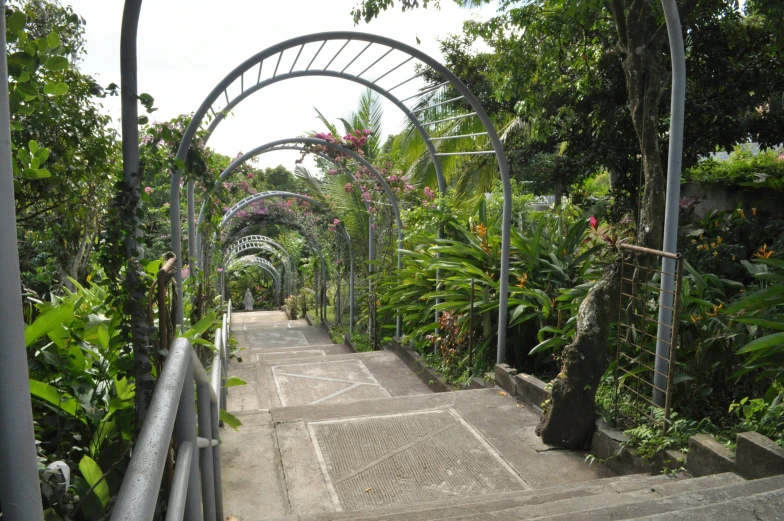 a very pretty garden with plants and trees