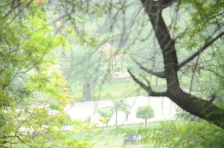 the people are in the park under an umbrella