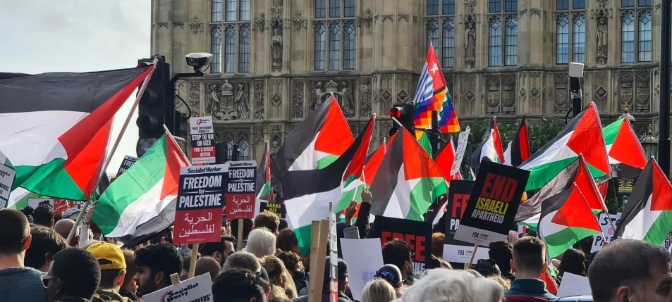 a large group of people with their flags in the middle of town