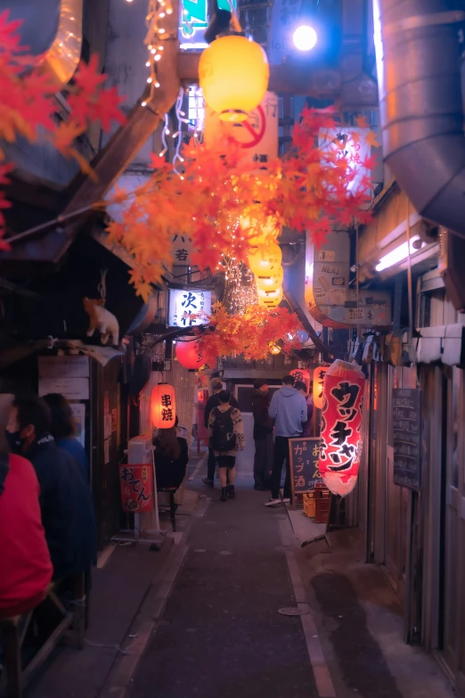 a long narrow alley with red lanternes and hanging lights