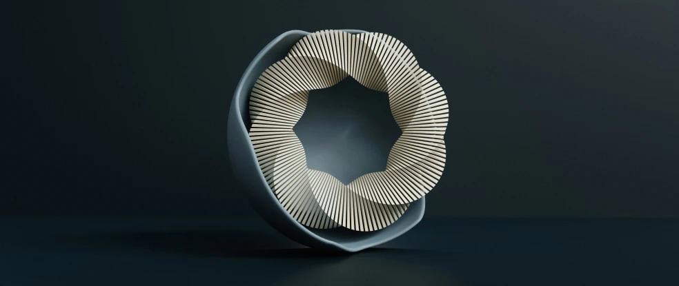 an unusual black and white sculpture in the shape of an oval