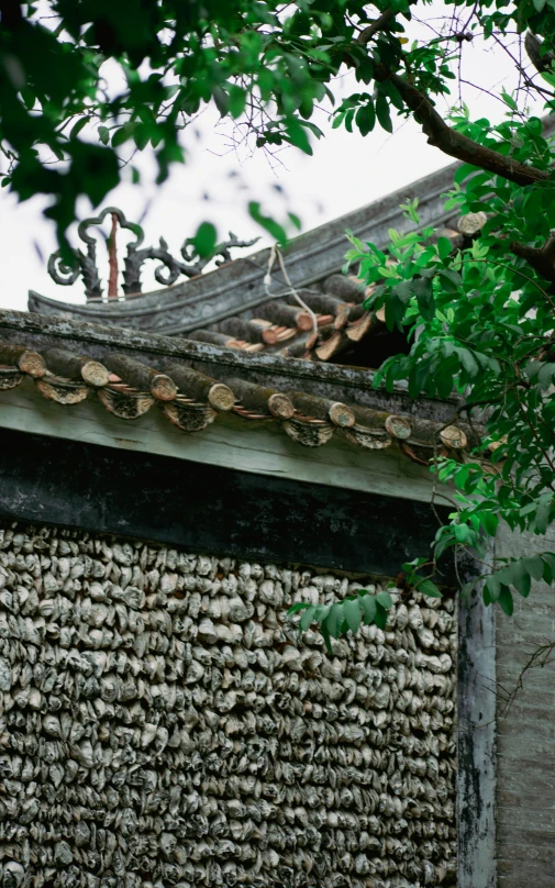 a structure with bamboo cones is shown in front of a leafy tree