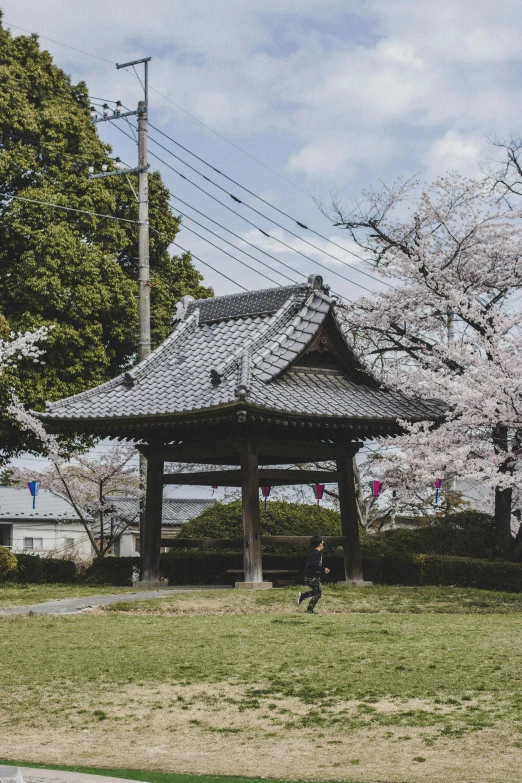 people are walking around in the grass near a gazebo