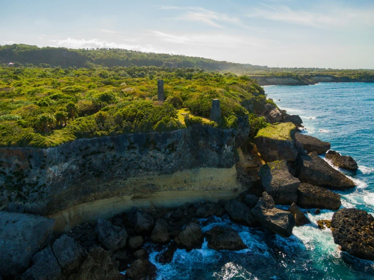 the beach is next to a cliff that has many mossy bushes on it