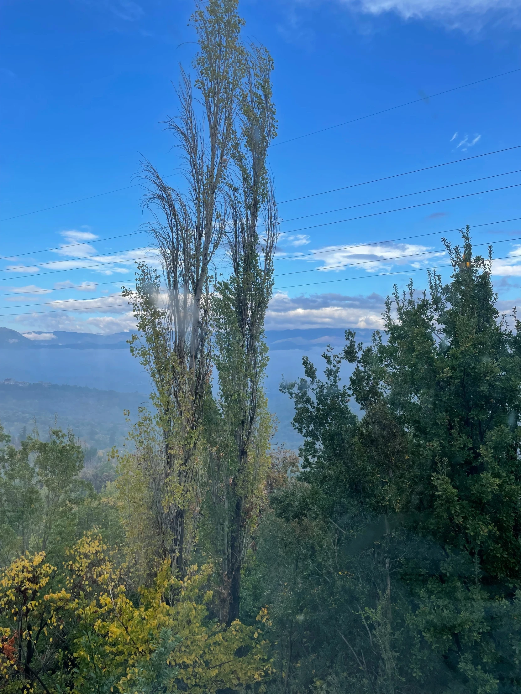 the view from a hillside that has several trees