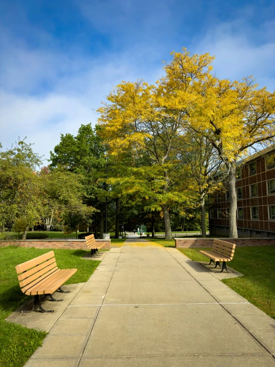 three park benches sitting on the grass in front of an apartment building