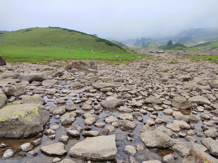 a muddy area with rocks, grass and mountains on the far side