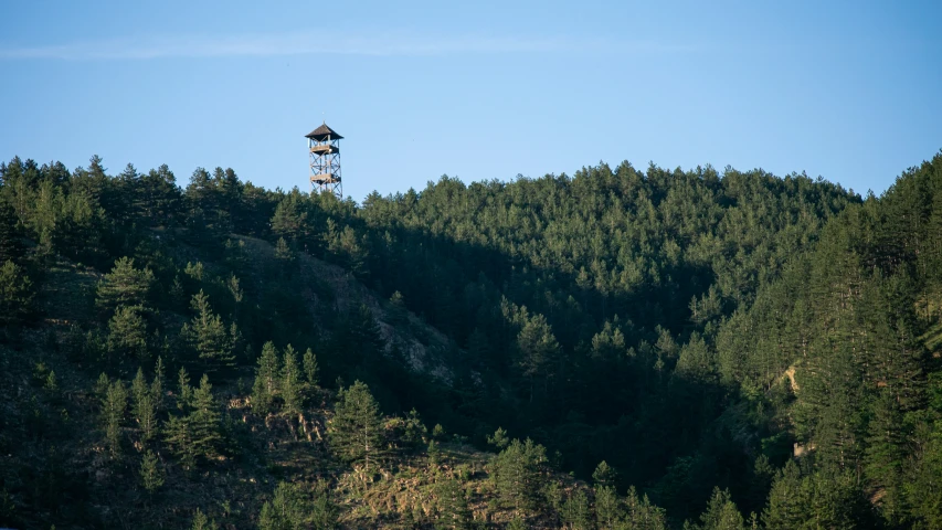 a hill with a tree tower in the middle of it