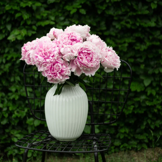 large pink flowers in a white vase on a black stand