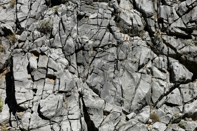 the image shows rocks with plant life growing on it