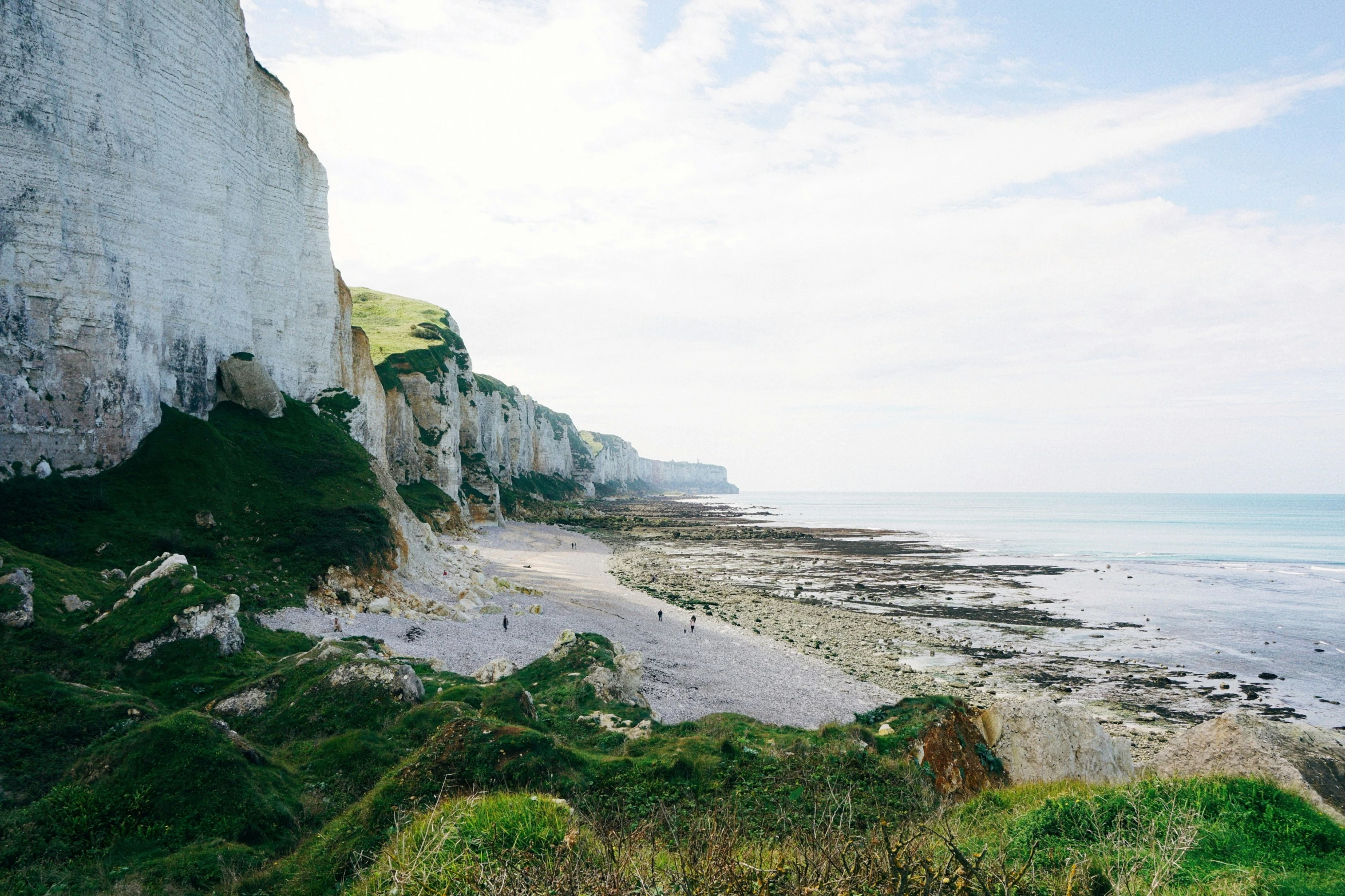 the cliffs are covered with vegetation on a sunny day