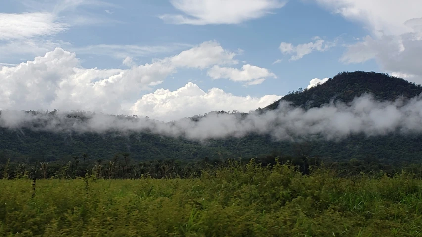 a field with mountains covered in clouds and plants