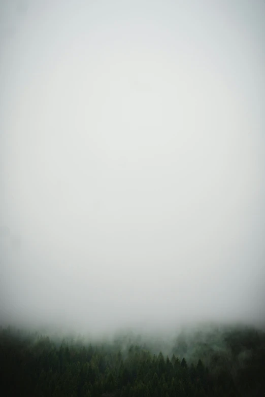 a foggy sky with a green grassy area