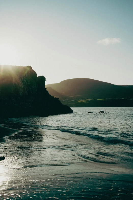 two people in canoes on the beach