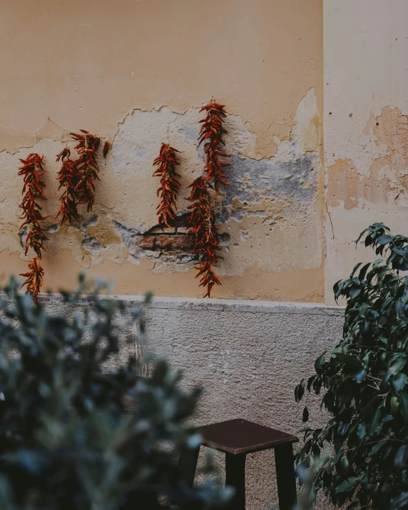 two birds are hanging on the wall near a table