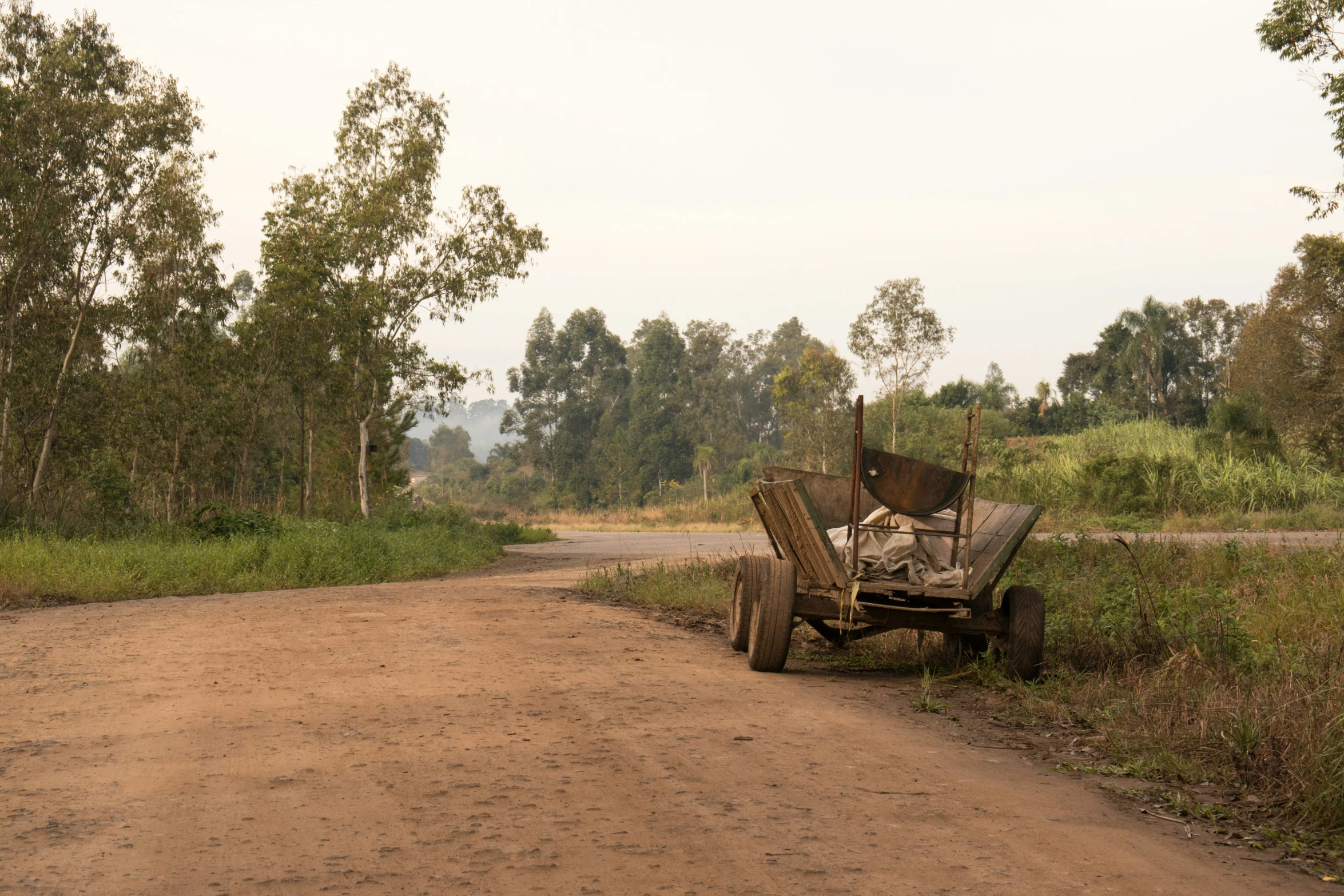 a old tractor sitting on a dirt road next to forest