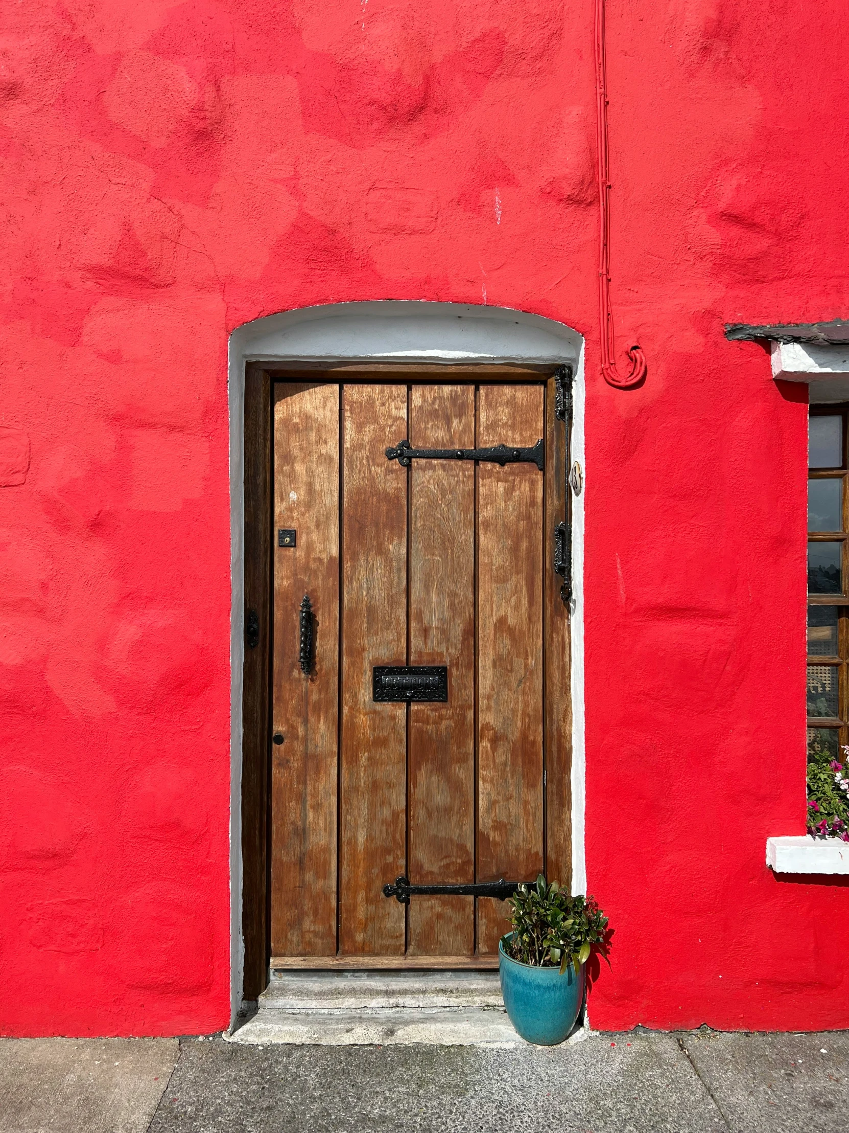 there is a potted plant next to a wooden door