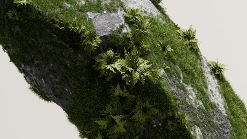 an image of a green plant growing on a stone rock