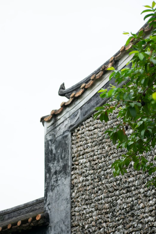 the top of an old house with exposed roof tiles