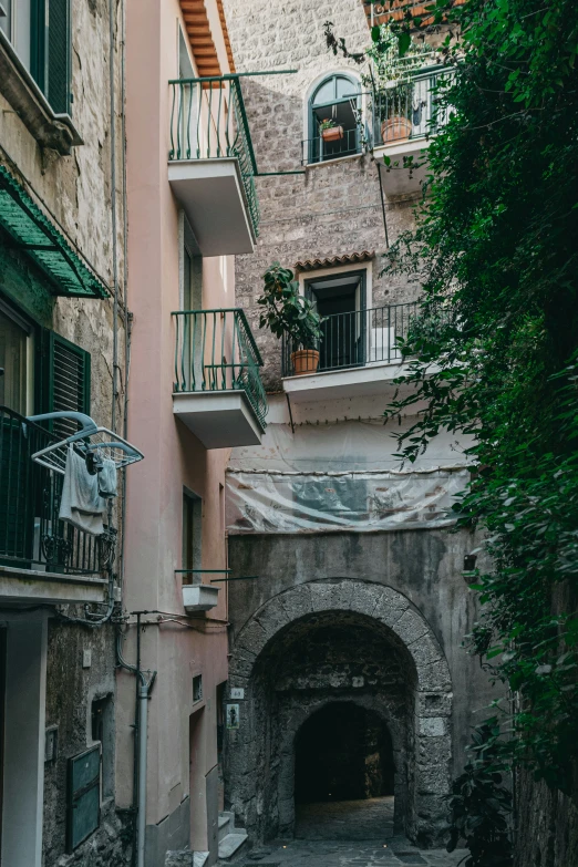 an arched walkway between two buildings and a tree