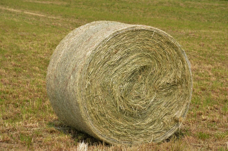a large hay bale standing in a grassy field