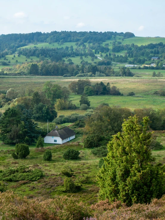 a farm with a white shed in the background