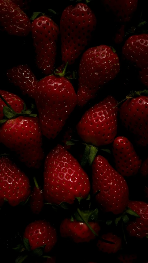 a close up of a bunch of ripe strawberries