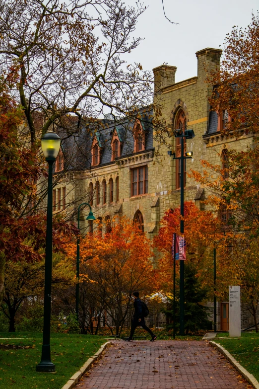 the image shows a path to an old castle