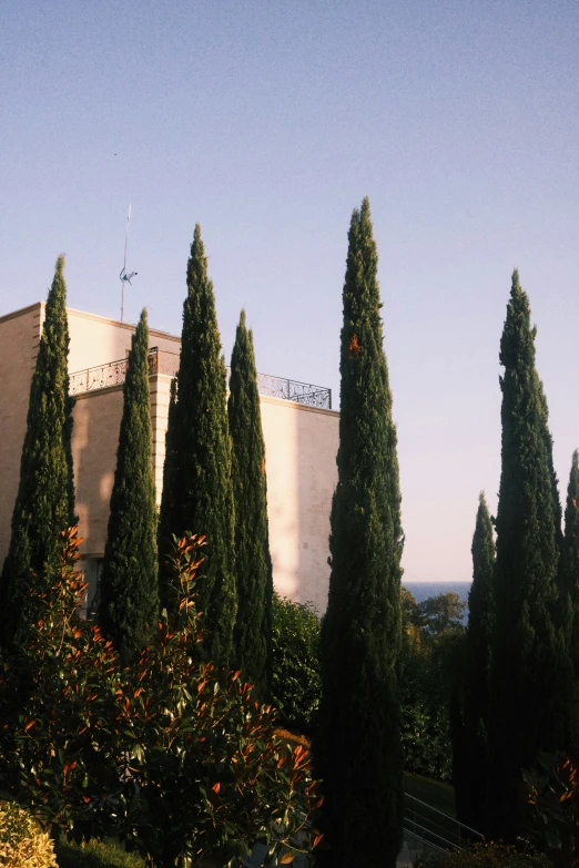 a view from across some trees looking over to the building