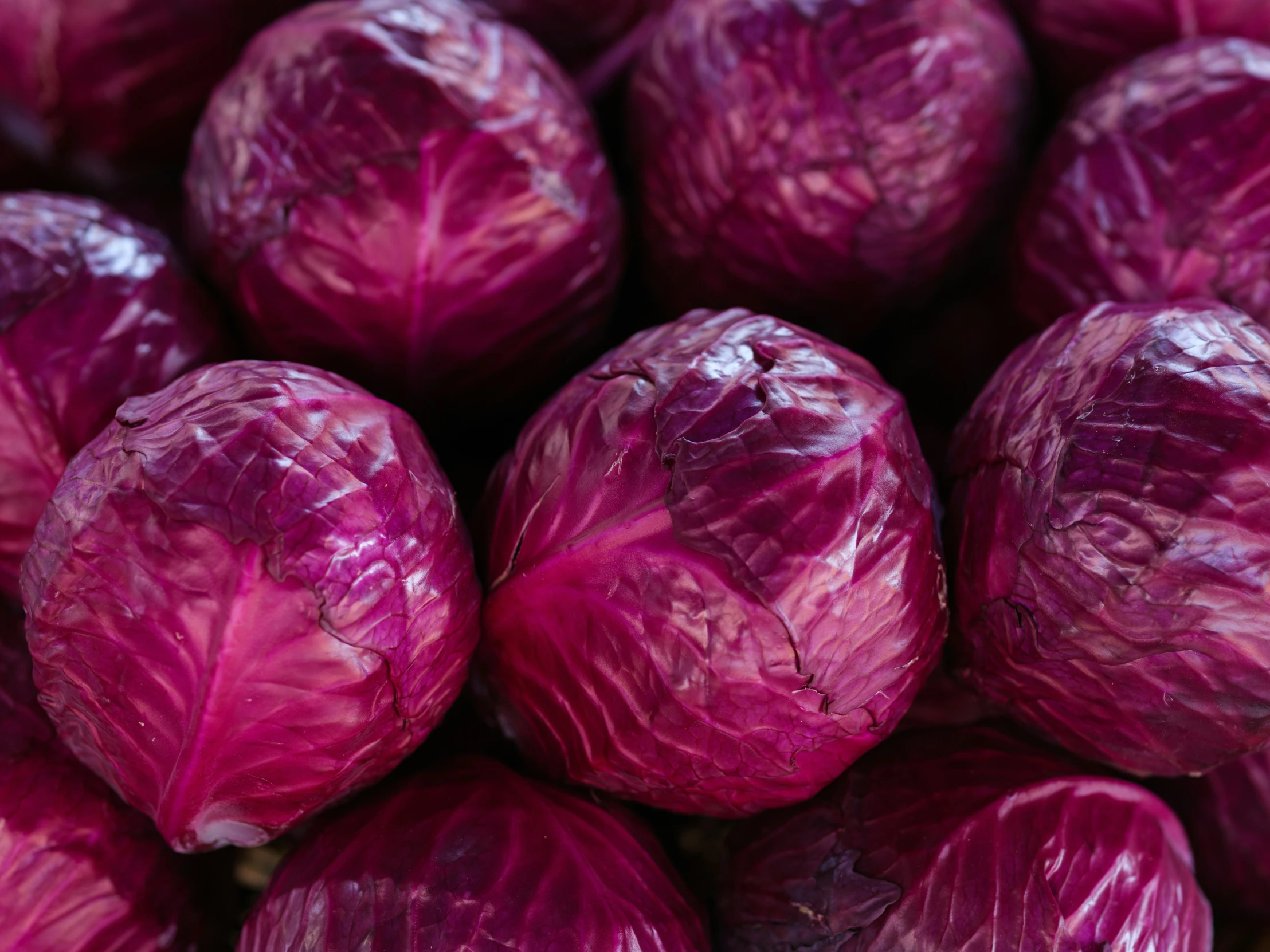 some purple cabbage is piled up for sale