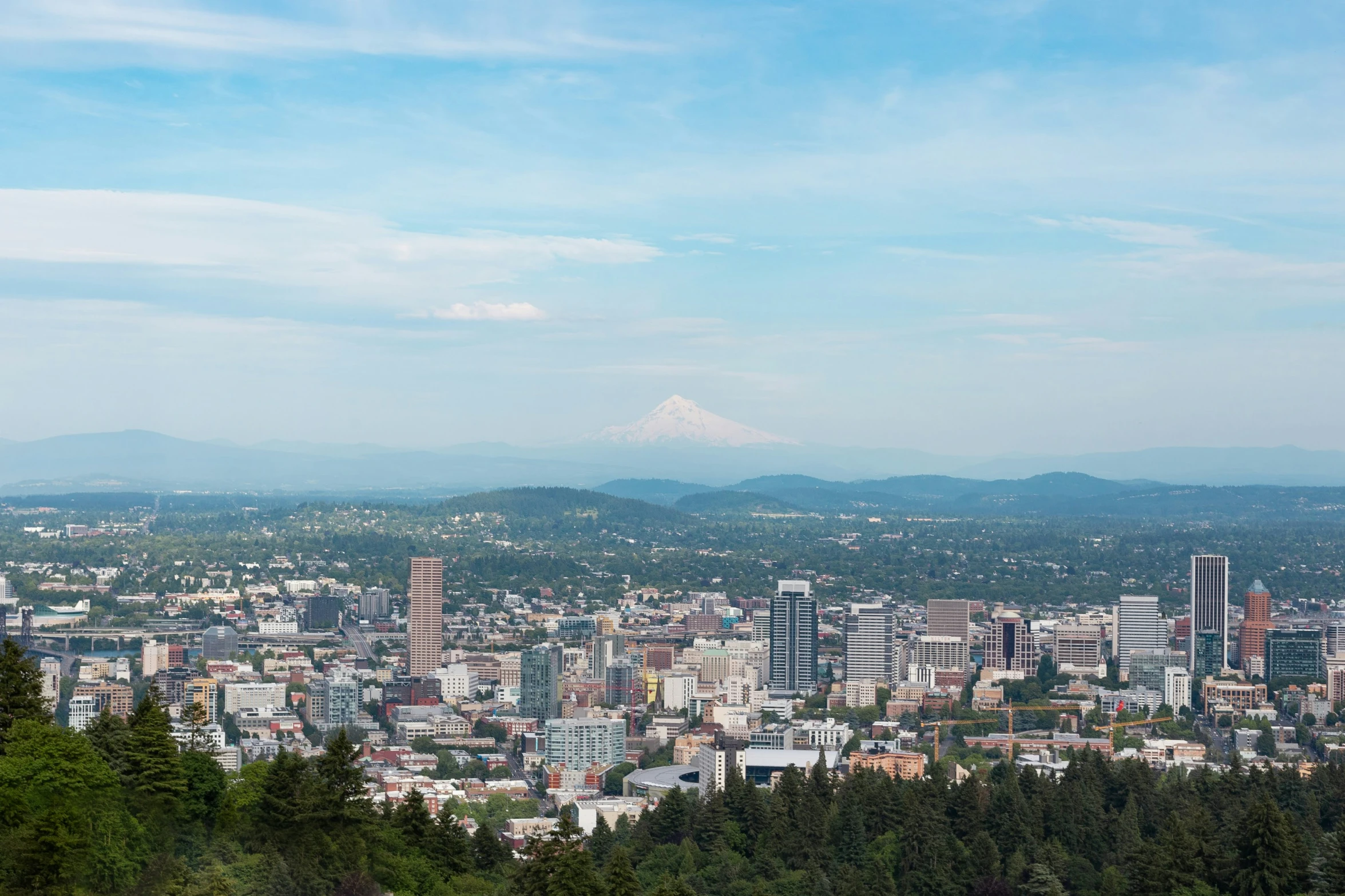 the cityscape is situated on an almost empty lot