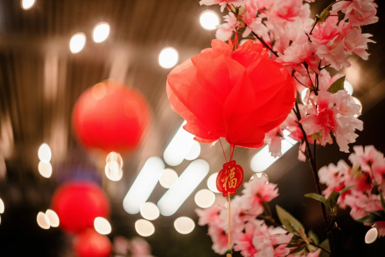 a large building is decorated with some red lanterns and red flower decorations